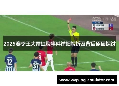 2025赛季王大雷红牌事件详细解析及背后原因探讨