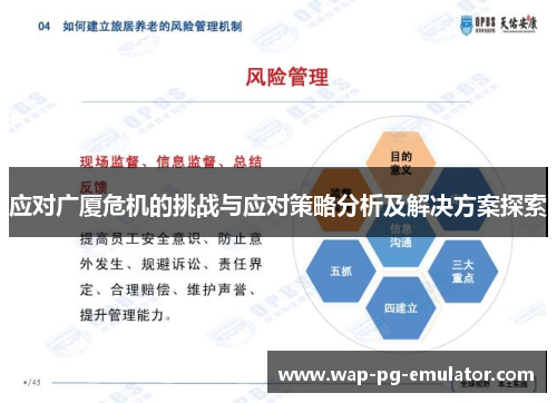 应对广厦危机的挑战与应对策略分析及解决方案探索