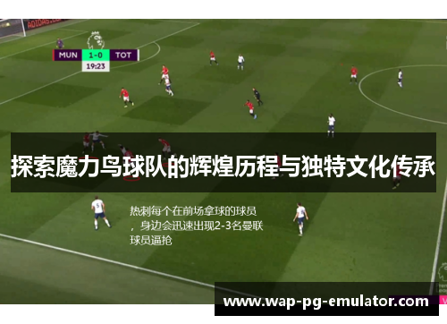 探索魔力鸟球队的辉煌历程与独特文化传承