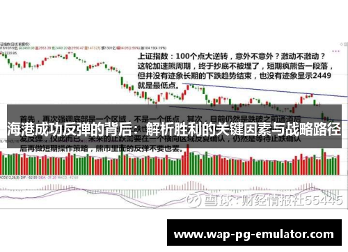 海港成功反弹的背后：解析胜利的关键因素与战略路径