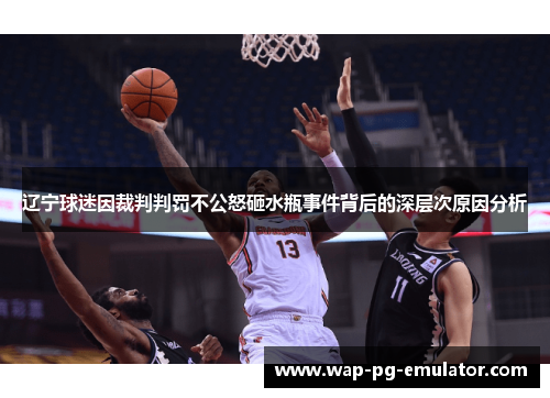 辽宁球迷因裁判判罚不公怒砸水瓶事件背后的深层次原因分析