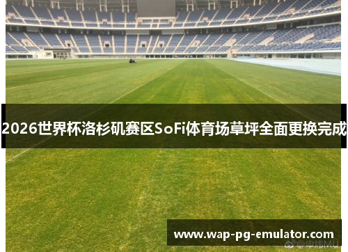2026世界杯洛杉矶赛区SoFi体育场草坪全面更换完成 2026世界杯洛杉矶赛区SoFi体育场草坪全面更换完成