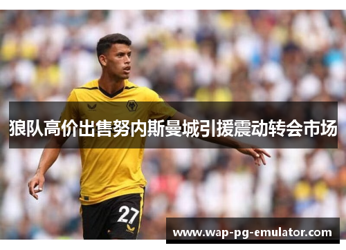 狼队高价出售努内斯曼城引援震动转会市场