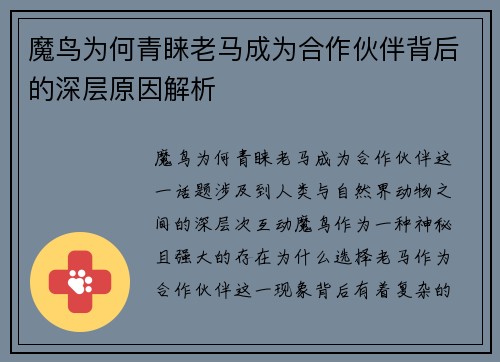 魔鸟为何青睐老马成为合作伙伴背后的深层原因解析