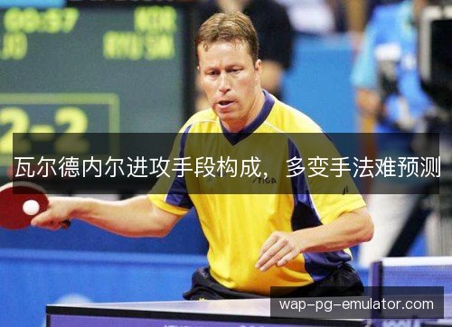 瓦尔德内尔进攻手段构成,多变手法难预测 瓦尔德内尔进攻手段构成,多变手法难预测